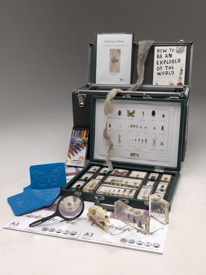 Various objects and props relating to exploring nature used in outreach programs