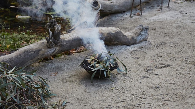 eucalyptus leaves burning in a small bowl
