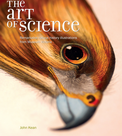 Cover of The Art of Science
