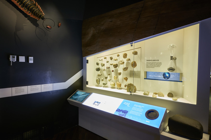 299 million years ago / 'Deserts and ice' section of 600 Million Years exhibition 