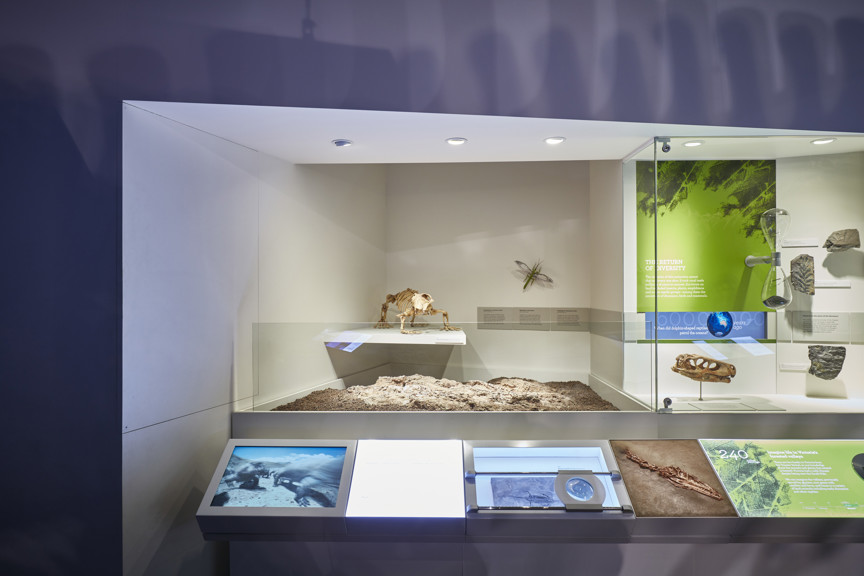 240 million years ago / 'The return of diversity' section of 600 Million Years exhibition 