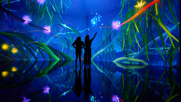 The shadow of two people standing in a room with the walls illuminated with tree tops