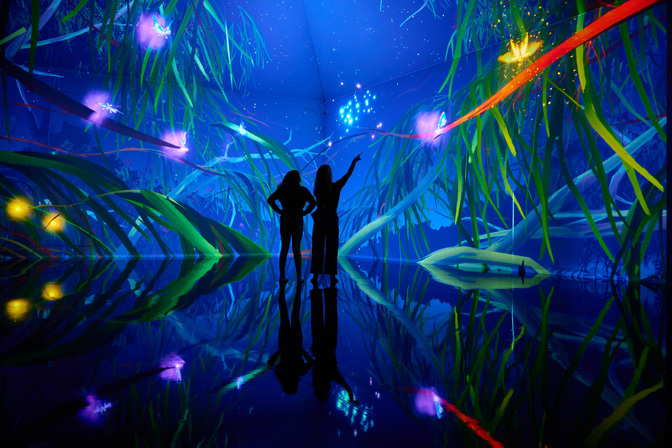 The shadow of two people standing in a room with the walls illuminated with tree tops
