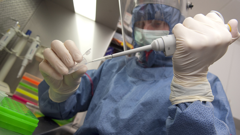 Joshua Hale, a Herpetology PHD student, extracting DNA from frog speciments dating back to the 1960s.