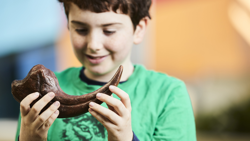 Young boy holding a dinosaur fossil