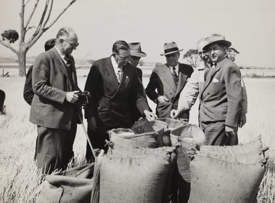 Group of men in a field dressed in suits inspection bags of grain