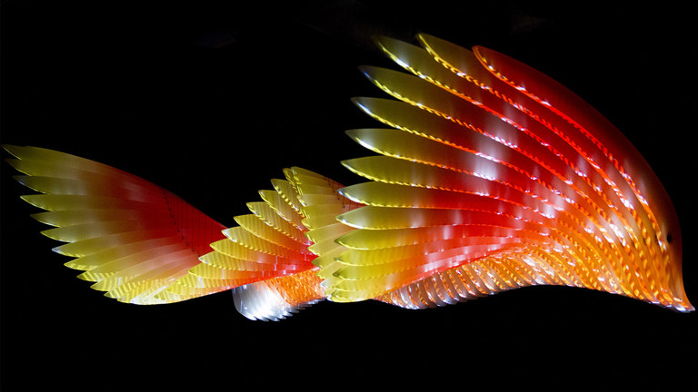 colourful wing sculpture
