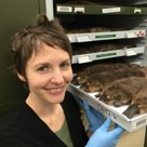 Dr Karen Roberts