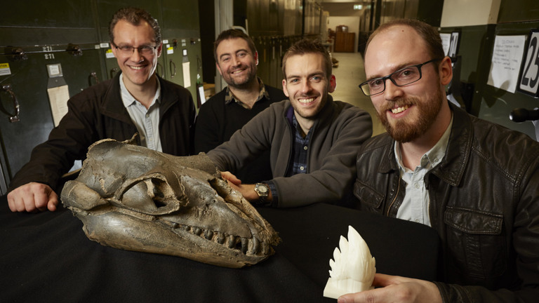 Four men with a fossil skull and tooth model
