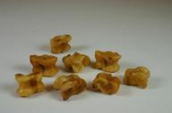 Sheep's knucklebones 