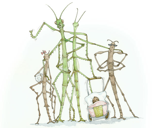An illustration of stick insect group with all life stages together, egg in crib, nymphs at two sizes, adult male and female.