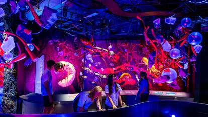 Students exploring the Soil Biome in Our Wondrous Planet exhibition. Giant models of soil organisms can be seen, such as ants and mites. 