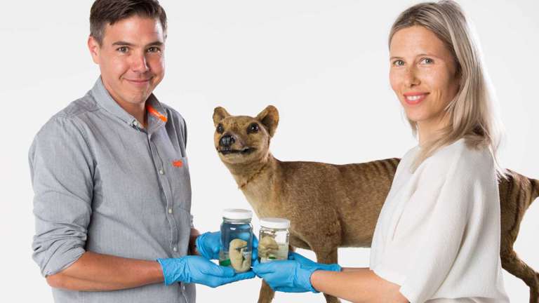 scientists with thylacine specimens