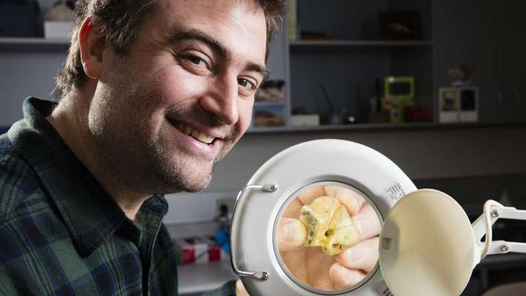 man with fossil through magnifying glass