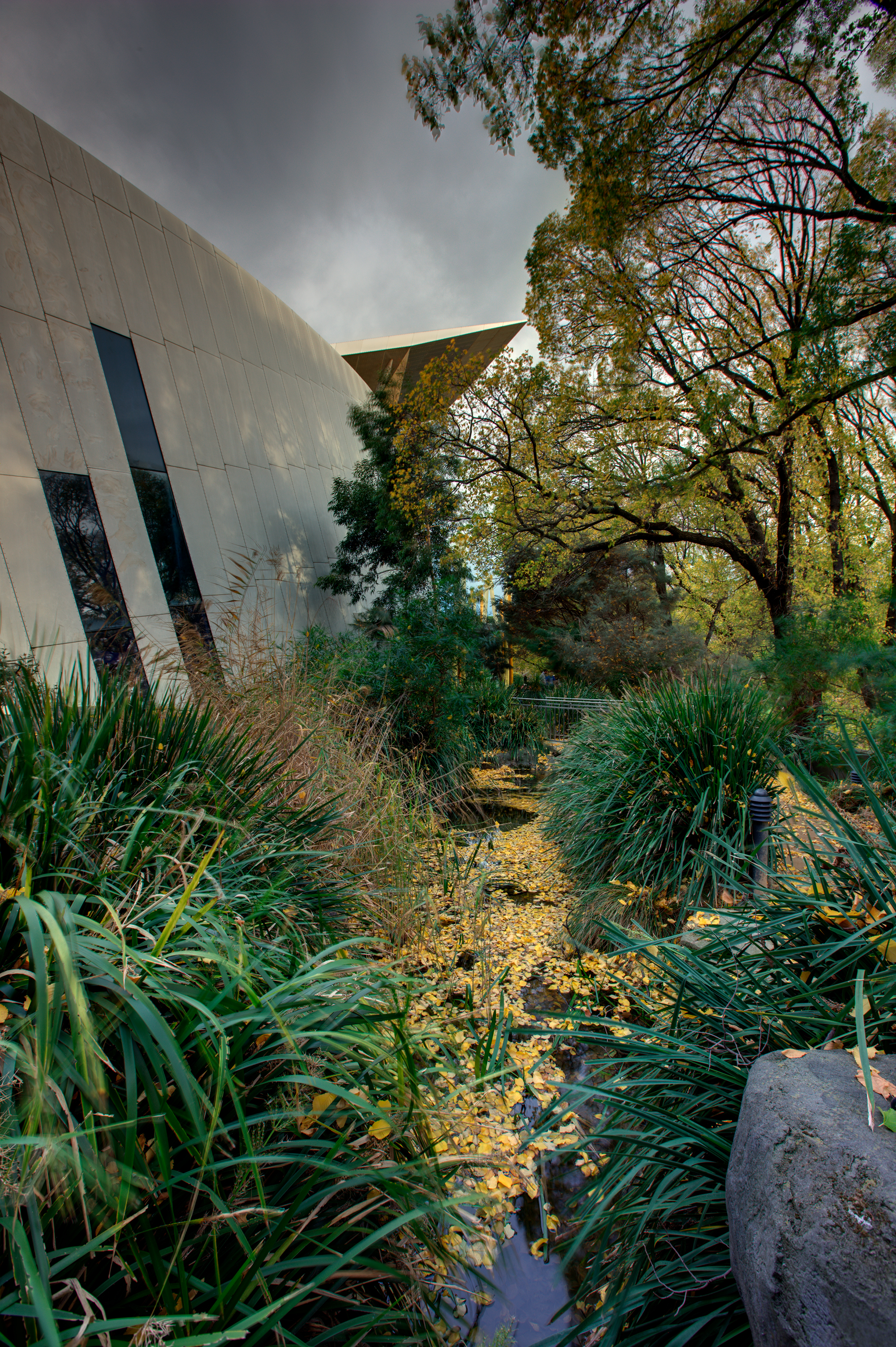 View of the Milarri Garden in Melbourne Museum