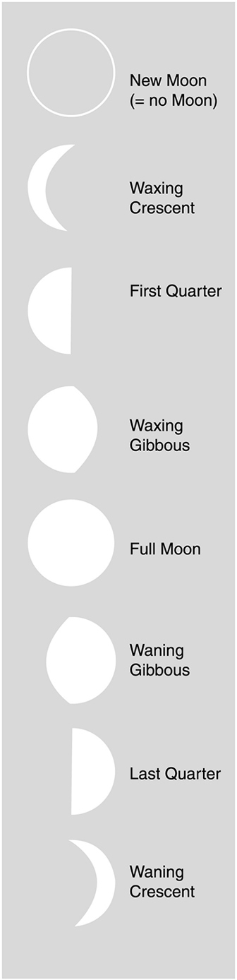 Phases of the Moon