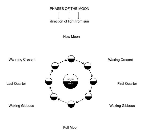 Phases of the Moon
