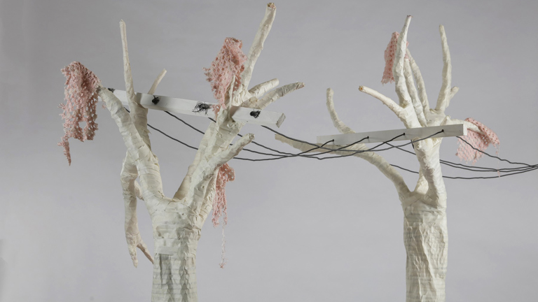 Letters to Lindy by Celia Mance. Photo by Nicole Cleary, courtesy of the Victorian Curriculum and Assessment Authority