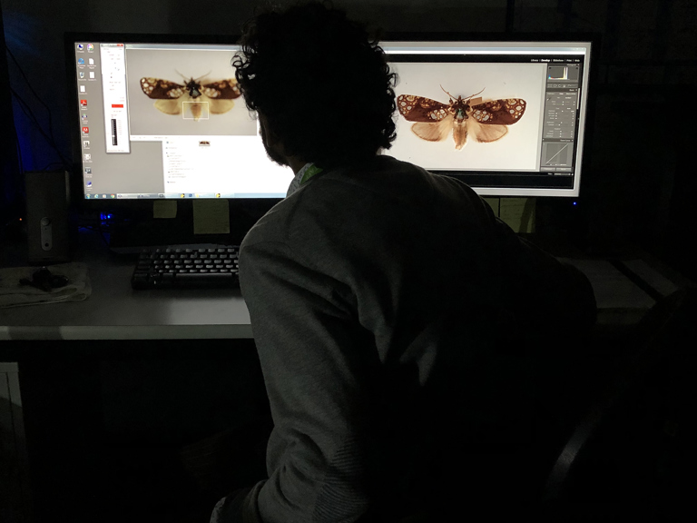 Nish Nizar checking that the specimen is in focus.