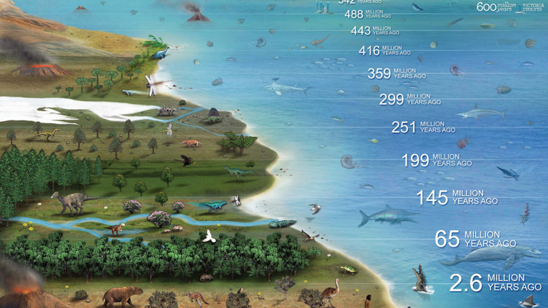 Illustration showing animals that lived from 635 million years–2.6 million years ago