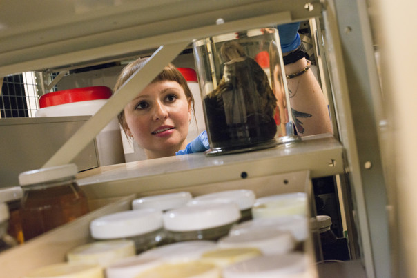 Woman looking through collection store shelves
