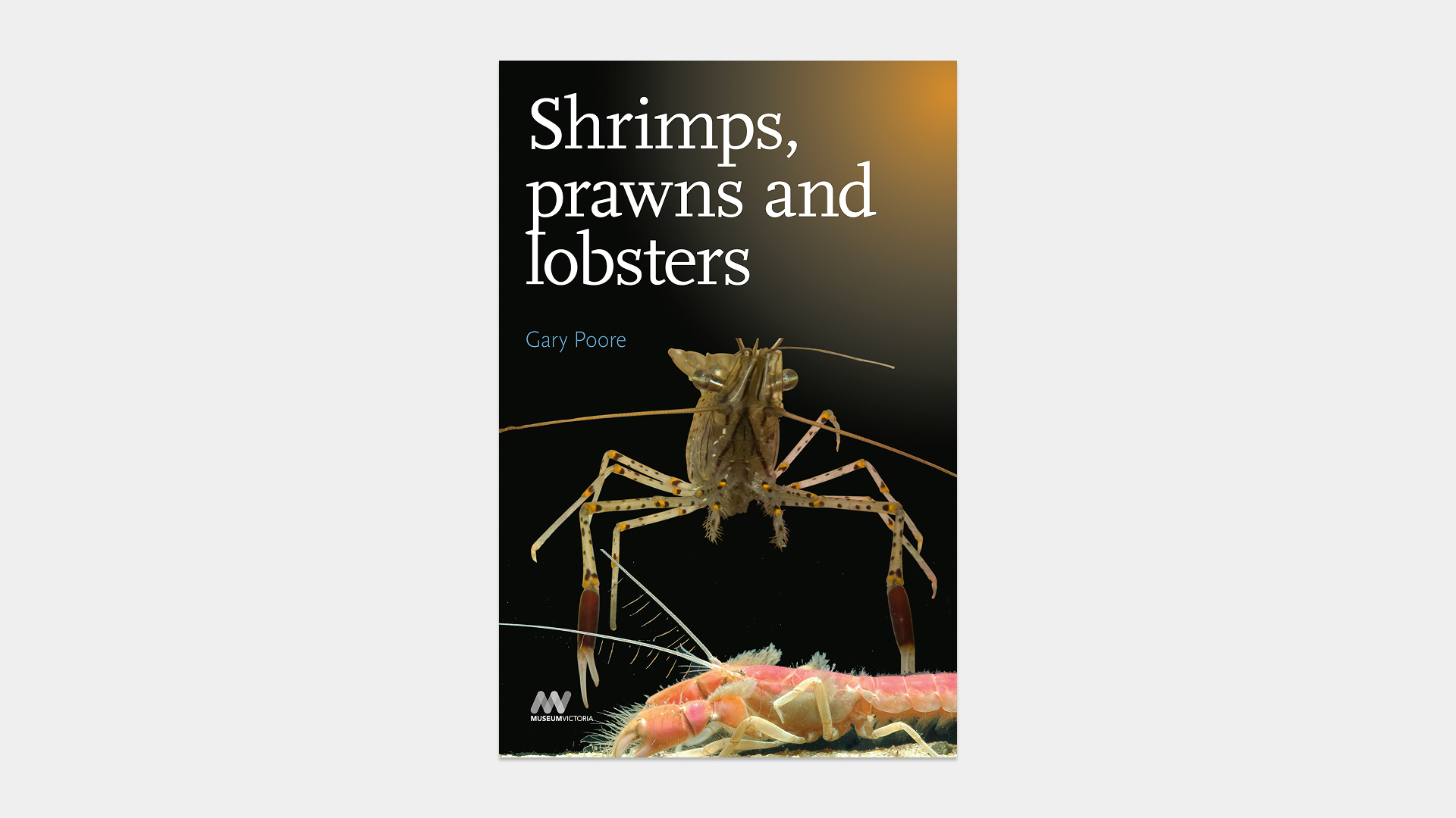 Shrimps Prawns and Lobsters