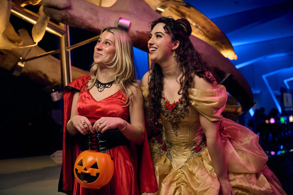 Two women dressed as Belle from Beauty and the Beast, and a vampire, stare at the skeleton of a pygmy blue whale.