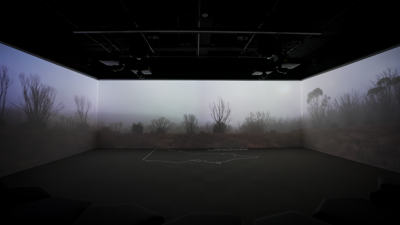 Red dirt bush scene from Victoria's Living Tapestry in the Learning lab at Melbourne Museum