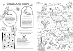 A page titles 'grassland Birds' include 10 bird illustrations. A subsection titled 'A Regal Raptor' explains how Nankeen Ketrels likes to live near farms where rats are plentiful. A second section titled 'We're Worried About Our Wander' explains that the Plains-wanderer is critically endangered and that researchers are trying to recover the population of this flightless bird. A third section 'Cryptic Cuties' explains that Mallee Emu-wrens are easier to hear than see as they hide in long grass.