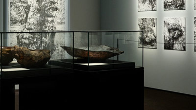 A display in ngiyama mirrim baany yulendj | reawakening deep water knowledge exhibition.
