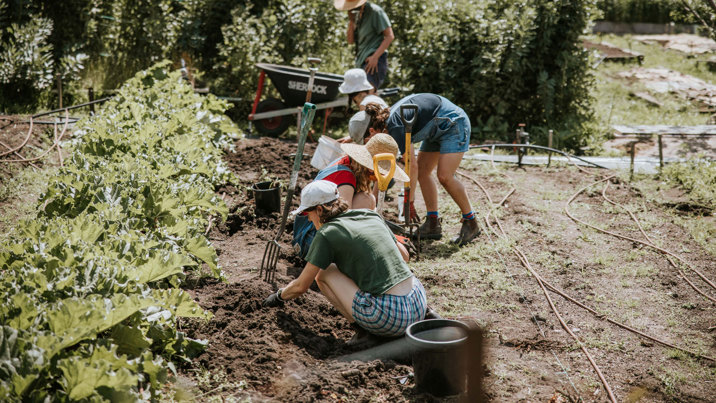 Volunteers working in the garden at CERES