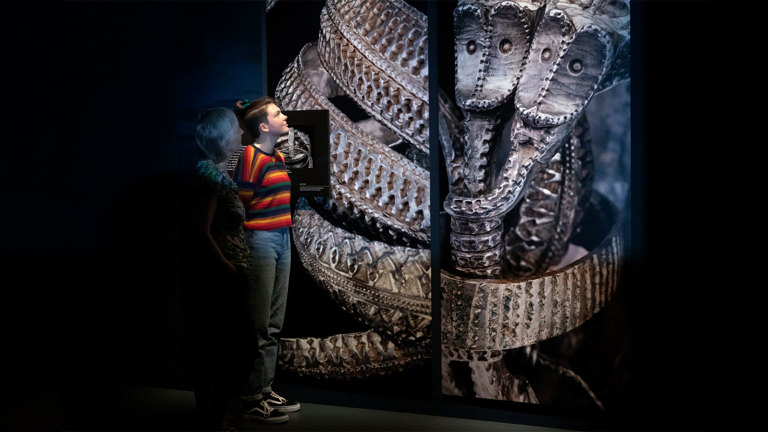 Two people are looking the Treasures of the Viking Age: The Galloway Hoard exhibition. They are standing by a big image of some the Viking Arm Bands that were found in the Galloway Hoard. The Viking Arm Bands are silver with intricate patterns.