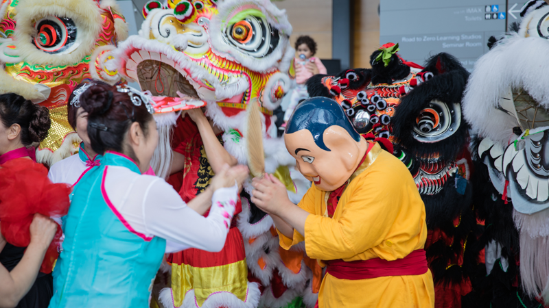 Dragons and costumed performers in the Melbourne Museum.