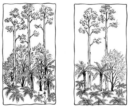 Two sketches side-by-side, one showing a lush forest and the other showing the effects of deforestation.