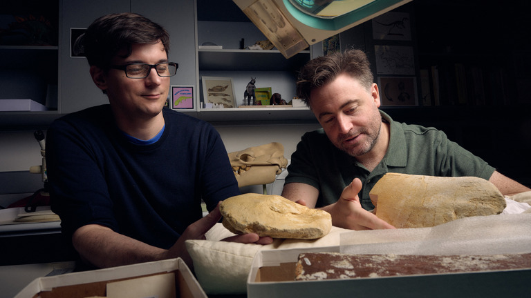 two men holding yellow coloured fossil bones in a laboratory