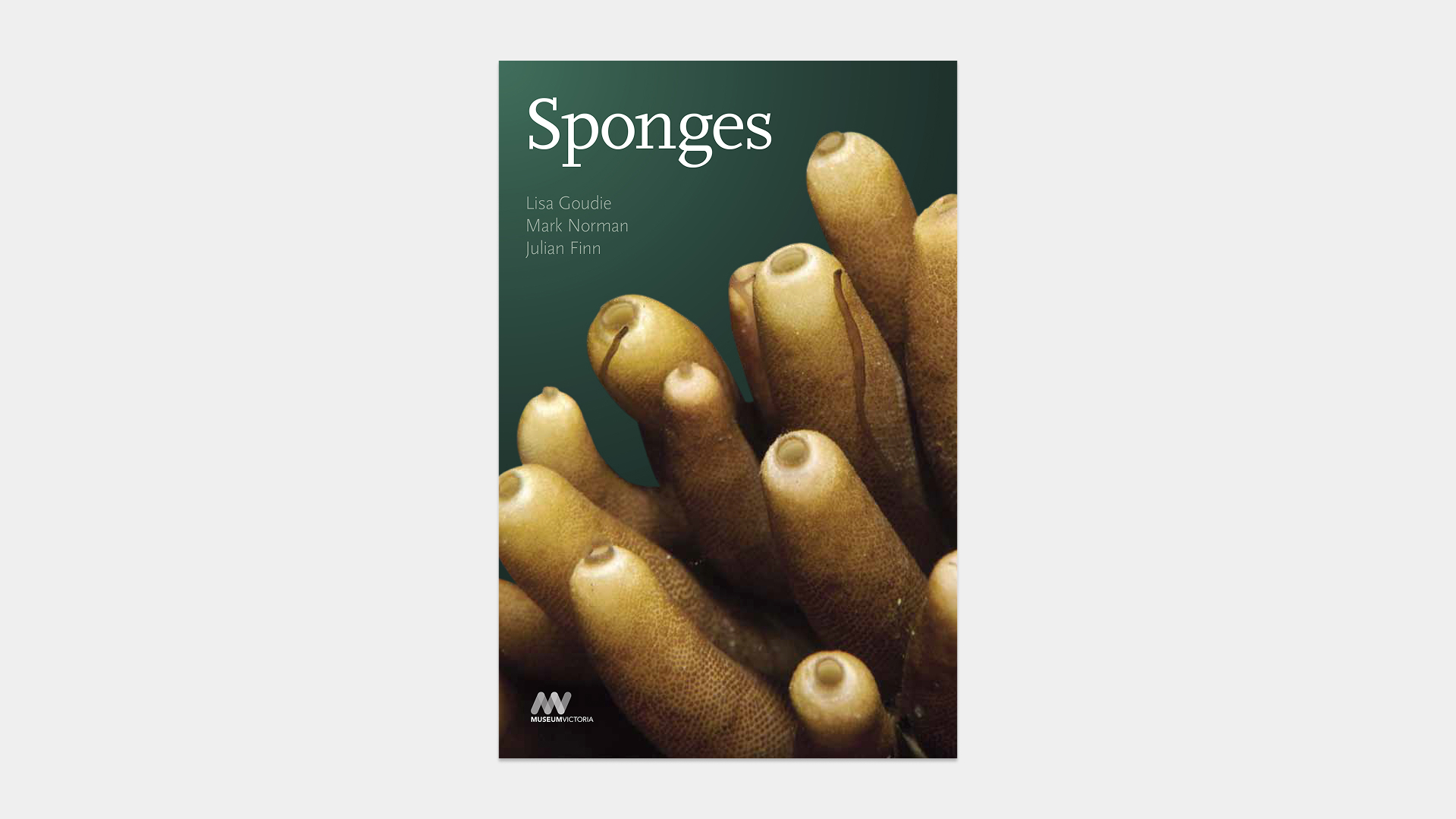 Cover of Museum Victoria field guide Sponges