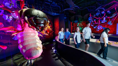 Students explore large-scale models from the Our Wondrous Planet exhibition