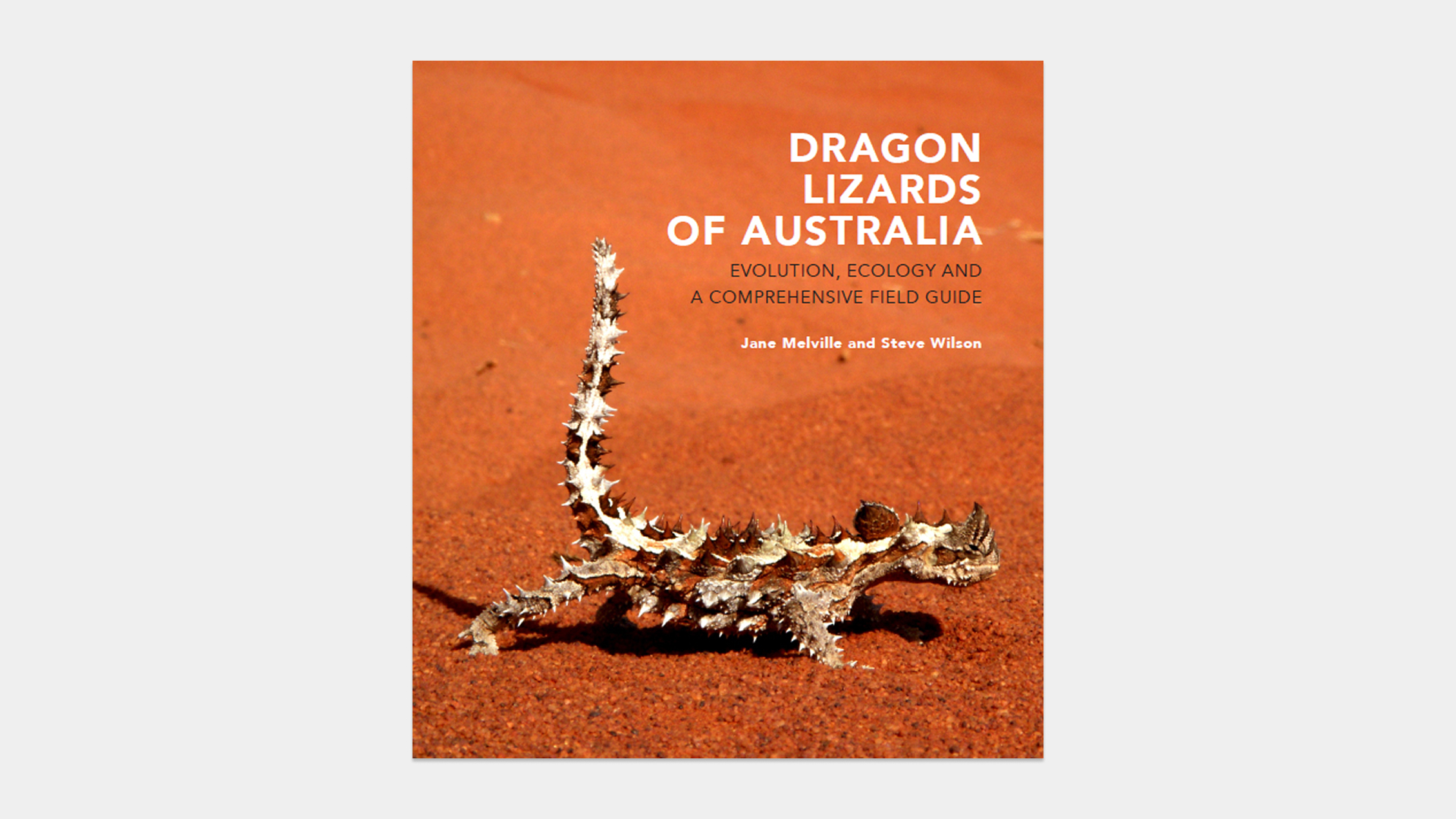 Dragon Lizards of Australia book cover