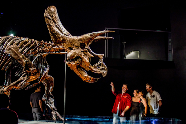 People point up in wonder at the skeleton of Horridus, the triceratops.