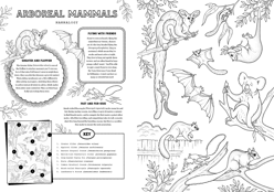A page titled 'Arboreal Mammals' consists of 9 illustrations of mammals. A subsection titled 'Greater and Fluffier' explains how the Greater Glider can glide for over 100 metres despite being very fluffy. A second section titled 'Flying With Friends' explains how Grey-headed Flying-fox bats hang out upside down in groups (called 'roosts') that can have as many as 100,000 bats. A third section titled 'Fast and Fur-ious' explains how Brush tailed Phascolgale's fast and rigorous mating is fatal.