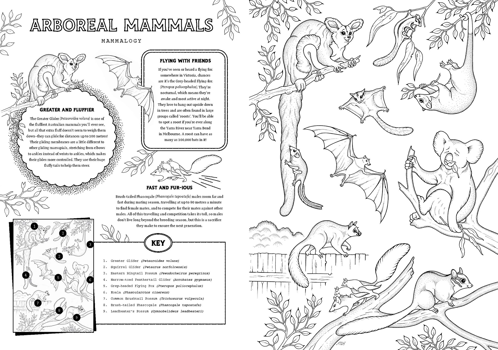 A page titled 'Arboreal Mammals' consists of 9 illustrations of mammals. A subsection titled 'Greater and Fluffier' explains how the Greater Glider can glide for over 100 metres despite being very fluffy. A second section titled 'Flying With Friends' explains how Grey-headed Flying-fox bats hang out upside down in groups (called 'roosts') that can have as many as 100,000 bats. A third section titled 'Fast and Fur-ious' explains how Brush tailed Phascolgale's fast and rigorous mating is fatal.