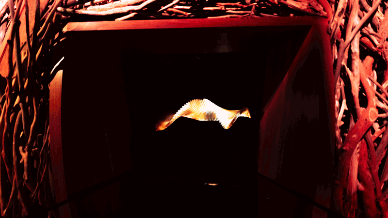  View of the Bunjil's Wing kinetic sculpture display in First Peoples exhibition during Nocturnal: Fired up, marking NAIDOC Week at Melbourne Museum.