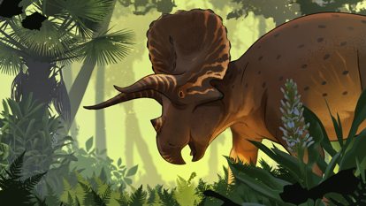 Illustration of a triceratops surrounded by lush rainforest.