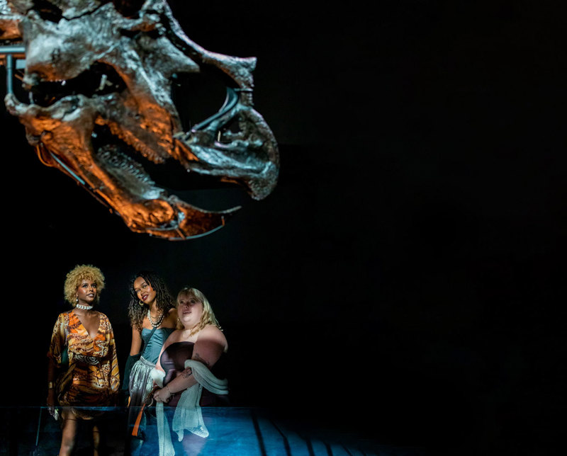 Free for Premium Members