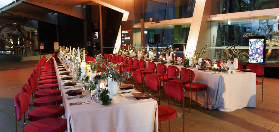 Seated dinner at Melbourne Museum, featuring a themed dining setup alongside a private viewing of ROME: Empire, Power, People
