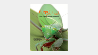 Cover of Bugs Alive: A Guide to Keeping Australian Invertebrates