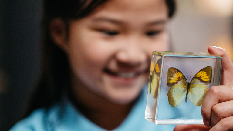 A young girl holding a butterfly specimen.