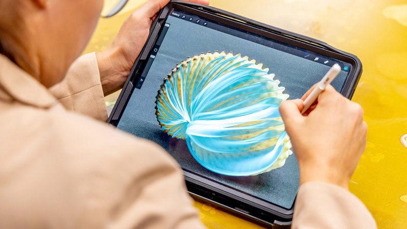 A close-up of someone outlining key details of a seashell on a tablet during Digital Art Class at Melbourne Museum.