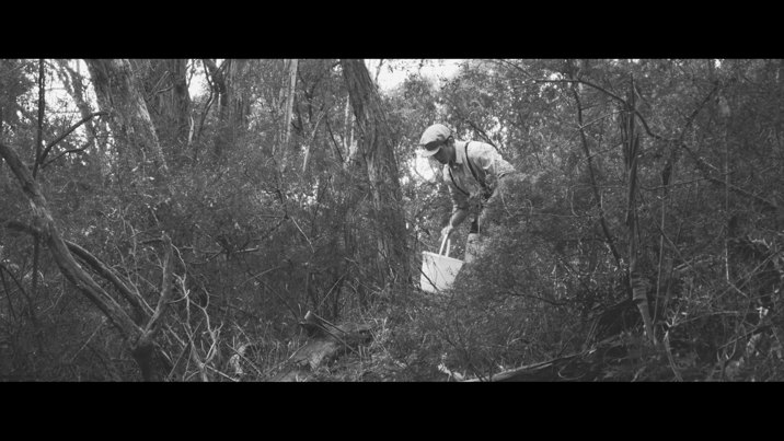 Black and white image of a person moving through a bush landscape with a bucket in hand.
