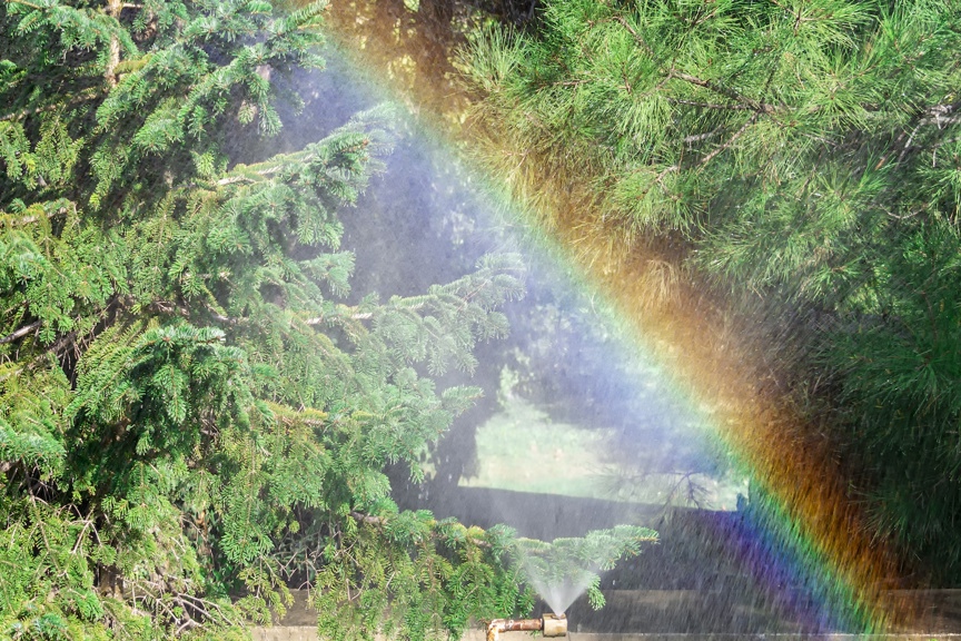 A rainbow of light appears in a spray of water.